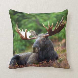 Almofada Moose