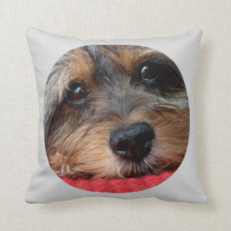 Almofada Moxi limpo como um travesseiro de Shorkie do
