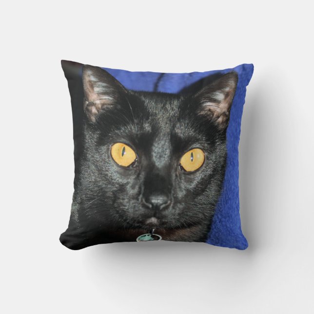 Almofada Murphy (Frente)