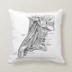 Almofada Músculos humanos da anatomia do vintage do pescoço