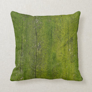 Almofada musgo sobre textura de madeira