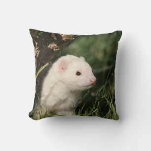 Almofada Na Floresta. Ferret