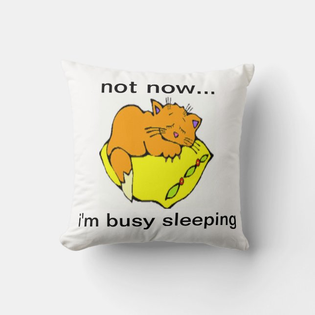 ALMOFADA NÃO AGORA... ESTOU OCUPADO A DORMIR (Frente)