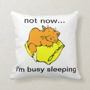 ALMOFADA NÃO AGORA... ESTOU OCUPADO A DORMIR
