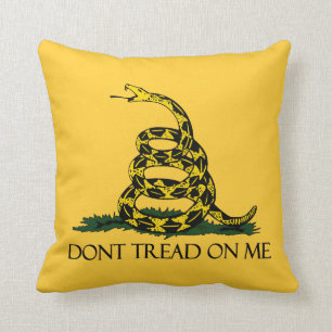 Almofada Não brinque comigo, Bandeira de Gadsden História P