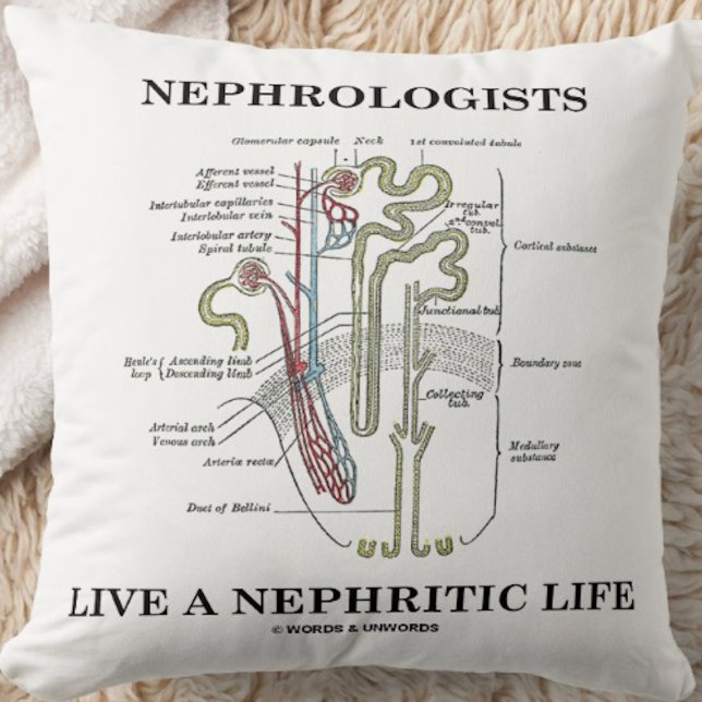 Almofada Nefrologistas Vivem Uma Vida Nefítica (Nephron) (Throw pillow featuring a kidney's nephron and cheeky medical saying for any nephrologist)