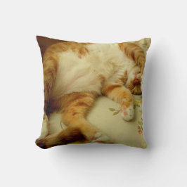 Almofada Nite Nite que sonha o travesseiro do gato