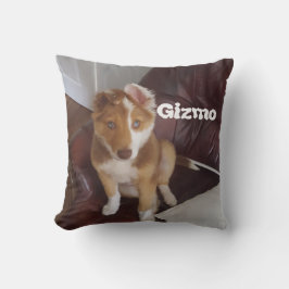 Almofada & Nome de Foto de Pet Personalizado