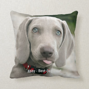 Almofada Nome personalizado da foto do cão de Weimaraner e