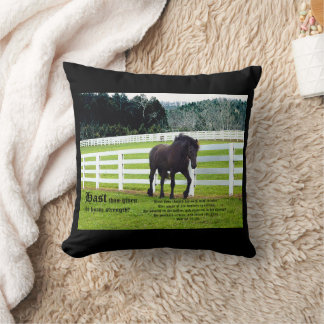 Almofada Nonesuch at Cedar Point w Job 39