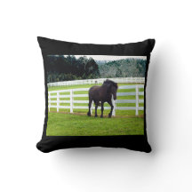 Nonesuch no Cedar Point