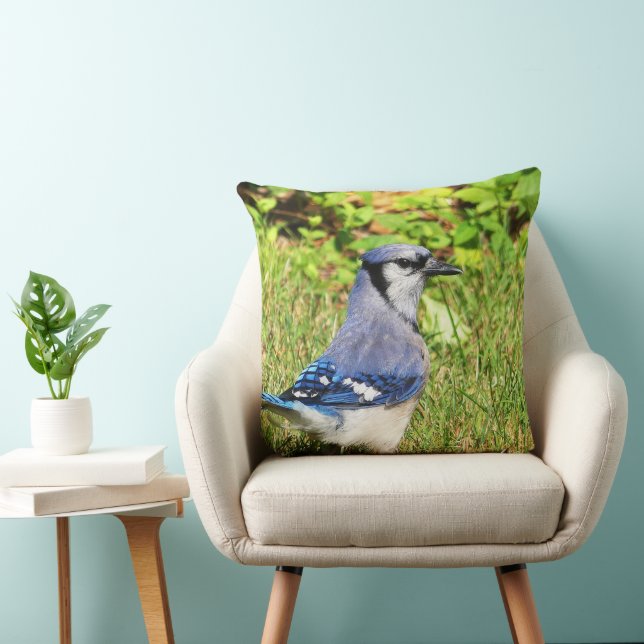 Almofada Norte Blue Jay (Cadeira)