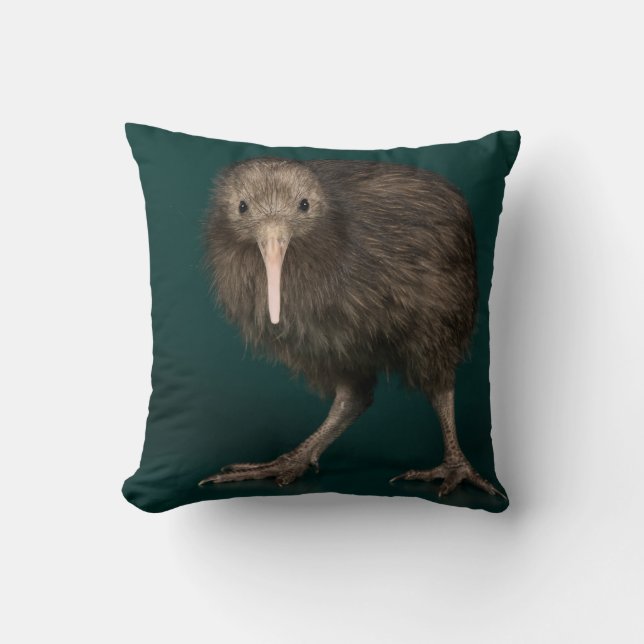 Almofada North Island Brown Kiwi (Frente)
