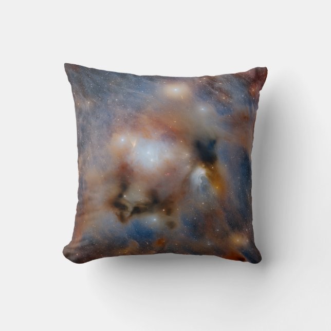 Almofada Nuvem Escura Chamaeleon I (Frente)