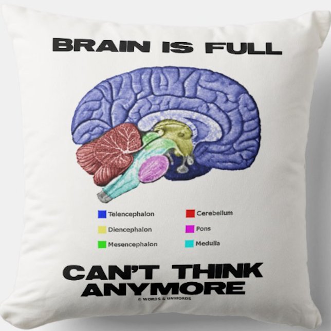 Almofada O Cérebro é Cheio não consegue pensar mais em humo (Throw pillow for anyone who has a brain that is full and just can't think anymore)