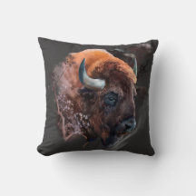 O chefe de uma bisão europeia