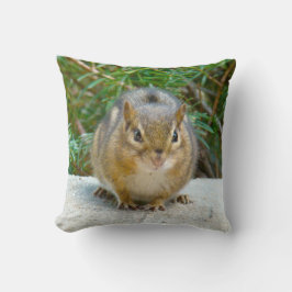 Almofada O Chipset Bonito Está De Olho Em Você