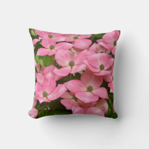 Almofada O dogwood cor-de-rosa do kousa floresce o