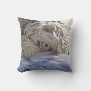 Almofada O Olho de um Pelicano