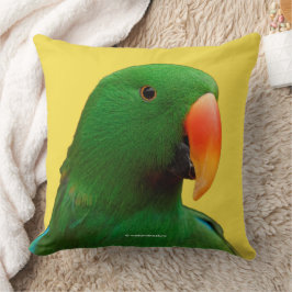Almofada O Orador Verde Eclectus Parrot