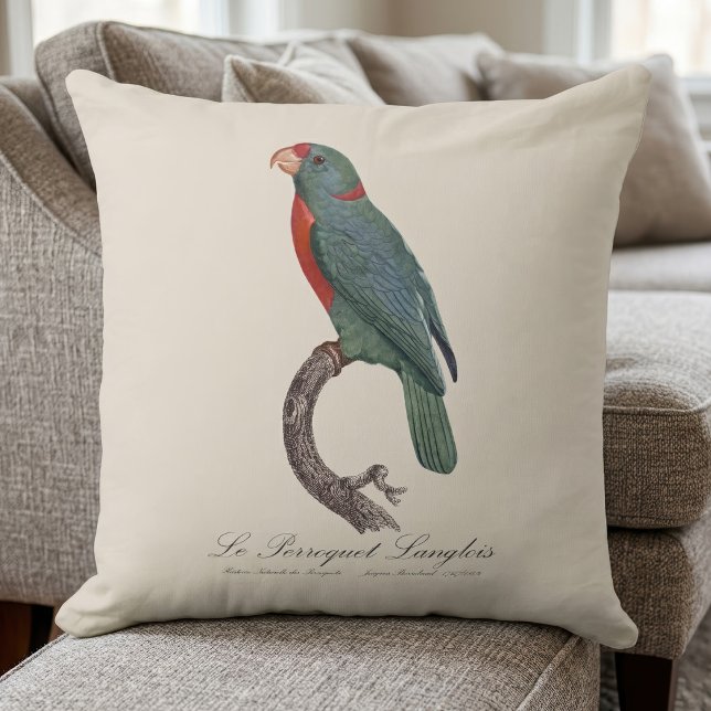 Almofada O Papagaio Langlois de Jacques Barraband (Le Perroquet Langlois by Jacques Barraband. Throw Pillow)