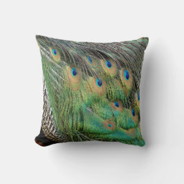 Almofada O pavão empluma-se cores verdes e azuis de Tan