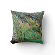 O pavão empluma-se cores verdes e azuis de Tan