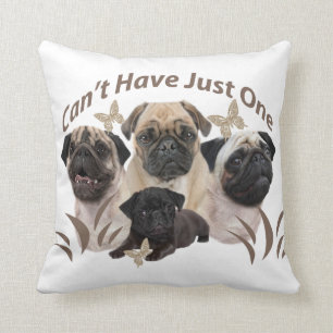 Almofada O Pug não pode ter apenas um roupa e presentes