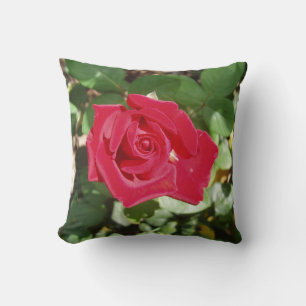 Almofada O Travesseiro decorativo Rosa perfeito