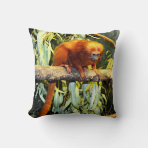 Almofada Observador de Leão-ouro, Cushion