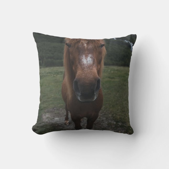 ALMOFADA OLÁ, EU SOU UM CAVALO (Frente)