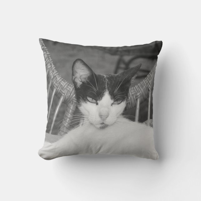 Almofada Olá, Meow.. (Frente)