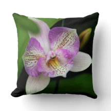 Orquídea Rosa Espetada