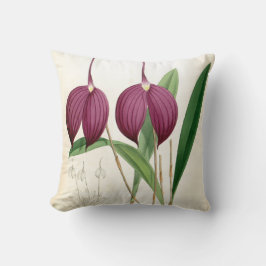 Almofada Orquídea Roxa Profunda Vintage Masdevallia Harryan