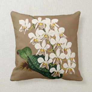 Almofada Orquídeas brancas impressão botânico, fundo de