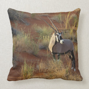 Almofada Oryx Antelope Dune Savannah