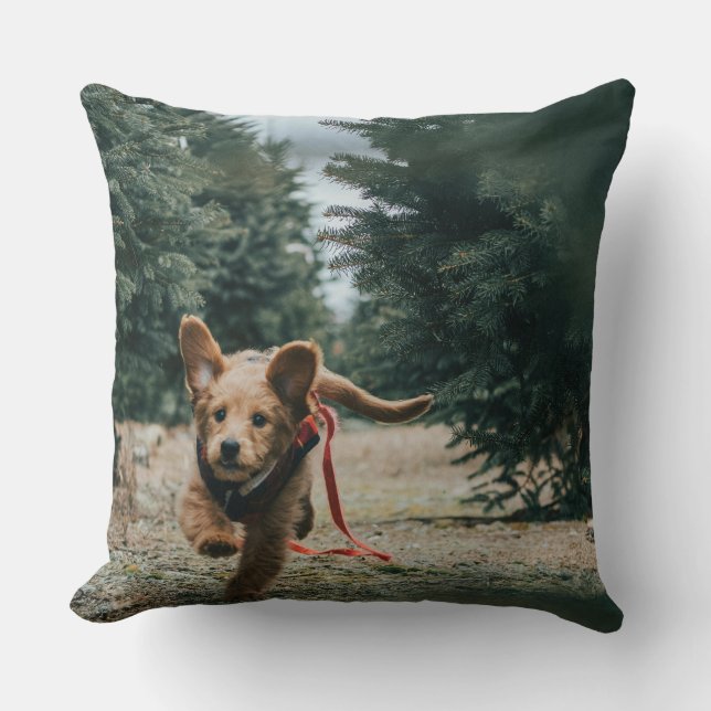 Almofada "Os Dias dos Cachorros Sonhando" (Frente)