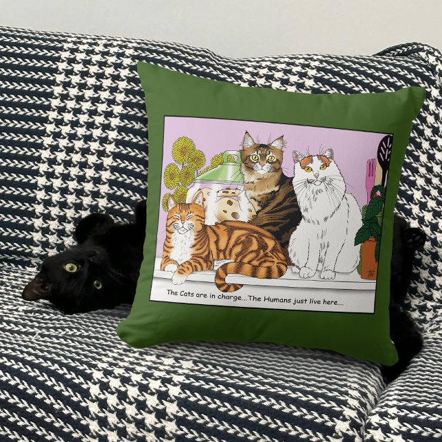 Almofada Os Gatos estão no comando (Criador carregado)