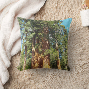 Almofada Os Parques Nacionais do Sequoia e Kings Canyon