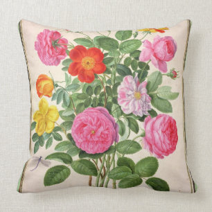 Almofada Os rosas, chapeiam 4 do florilégio de Nassau (w/c