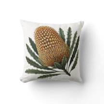 Ouro Banksia Botânica, Flor Nativo Australiano