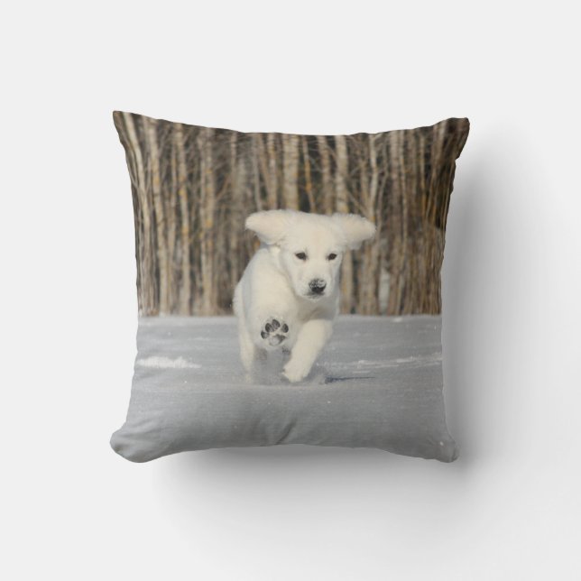 Almofada Ouro branco - Retriever Puppy na neve (Frente)