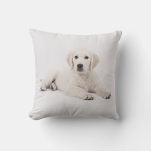 Almofada Ouro Cachorro do Retriever Travesseiro