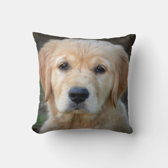 Almofada Ouro Retriever Puppy (Frente)