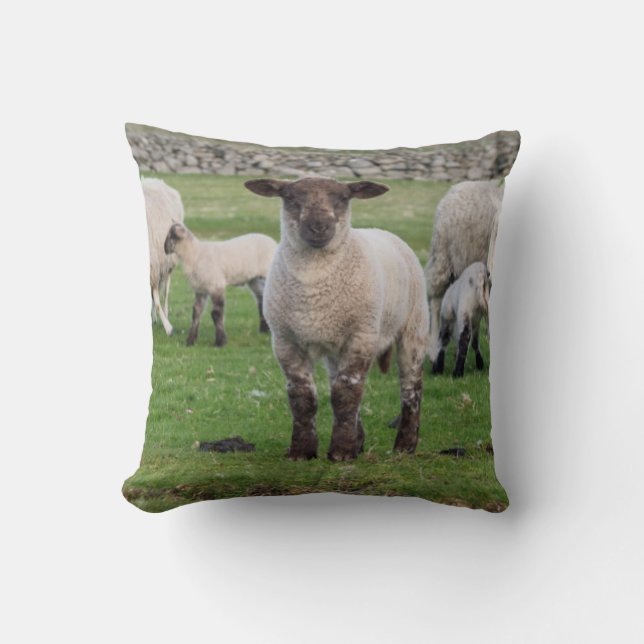 Almofada Ovelha Shetland (Frente)