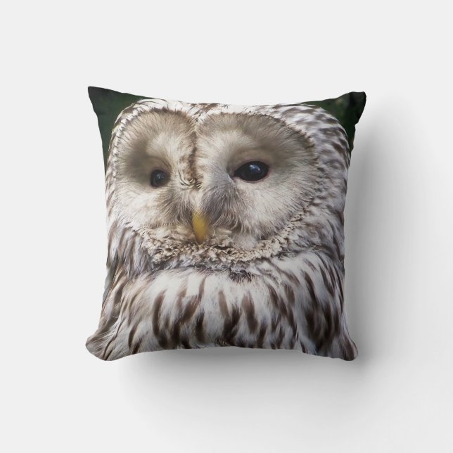 ALMOFADA OWLS (Frente)