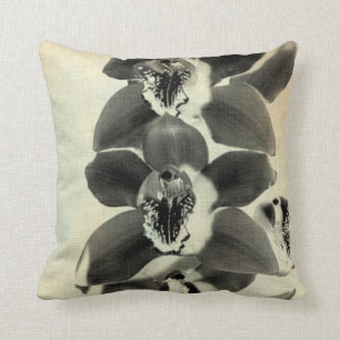 Almofada Painéis Blush Orchid IV