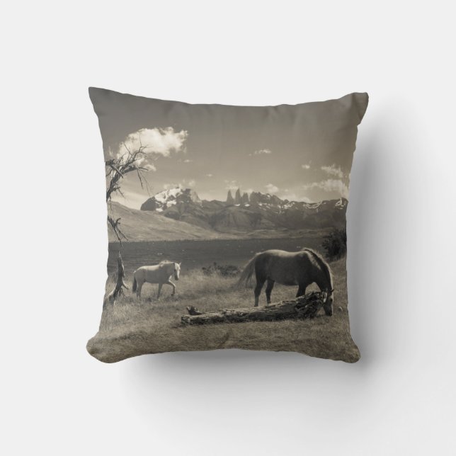 Almofada Paisagem com cavalos (Frente)