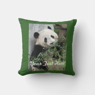 Almofada Panda Bonita, Praça Verde Sólida