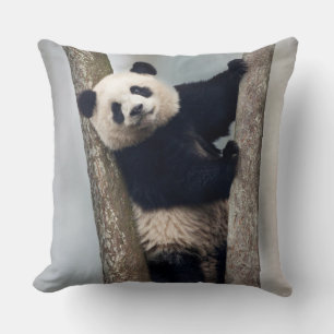 Almofada Panda jovem subindo em uma árvore, China